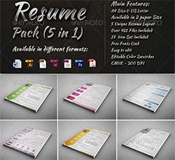 五套个人简历模板：Resume Pack (5 in 1)
